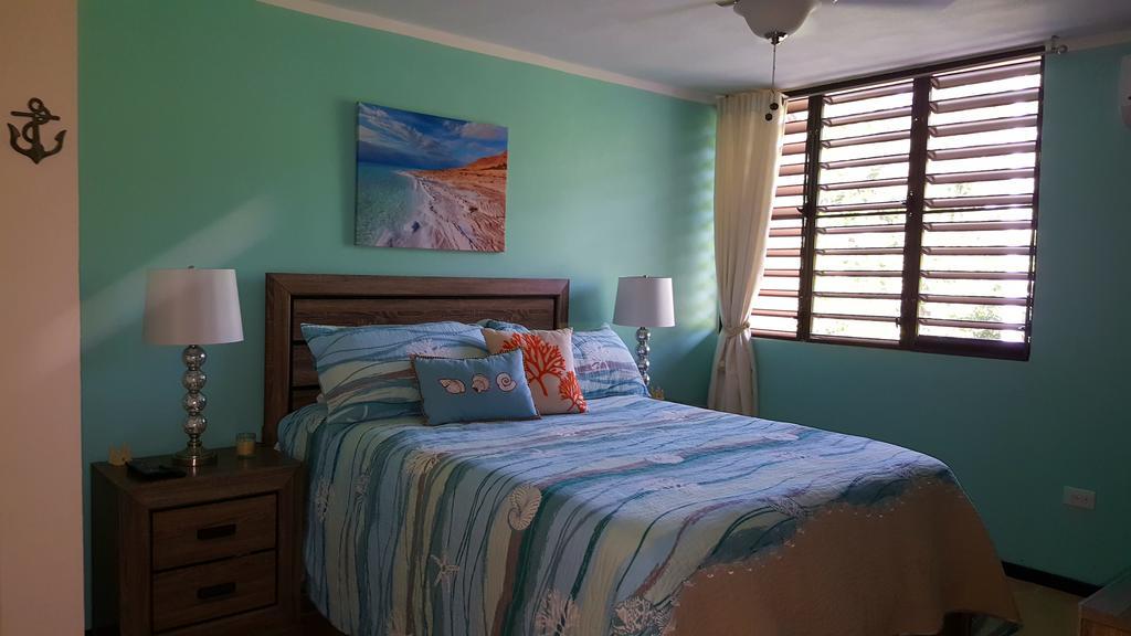 Fully Air-Conditioned Beach Front Penthouse Apartment Naguabo Экстерьер фото