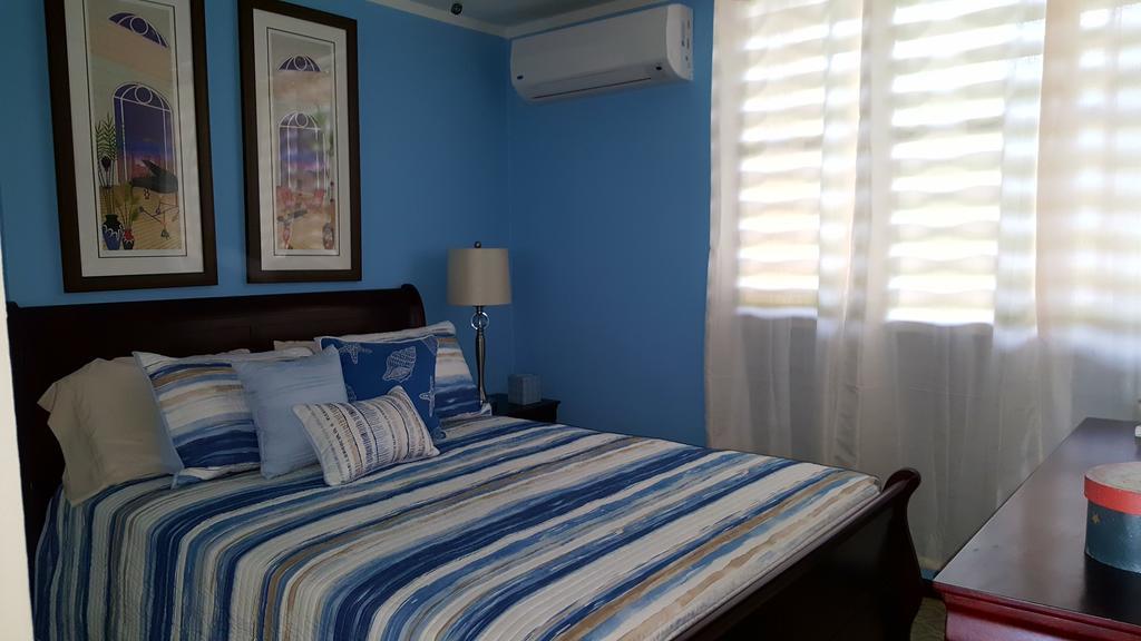 Fully Air-Conditioned Beach Front Penthouse Apartment Naguabo Экстерьер фото