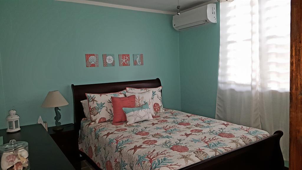 Fully Air-Conditioned Beach Front Penthouse Apartment Naguabo Экстерьер фото